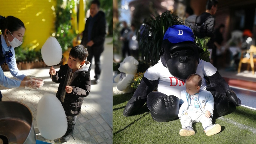 鸿坤·花语墅项目2018年推广提报