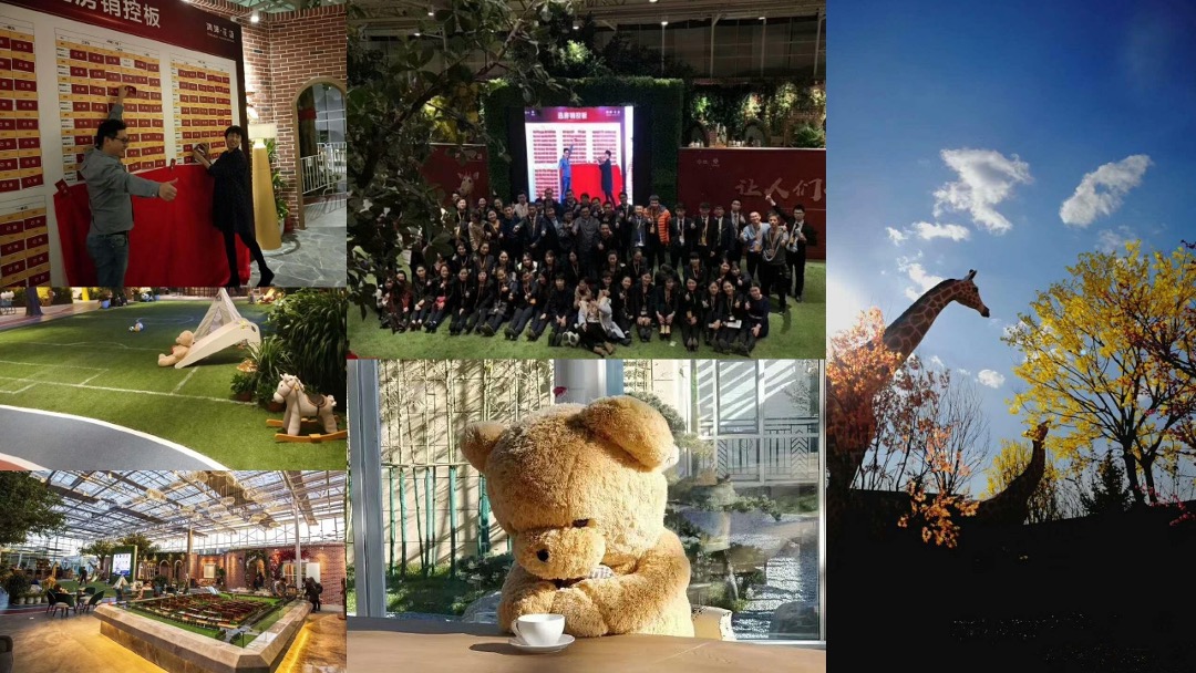 鸿坤·花语墅项目2018年推广提报