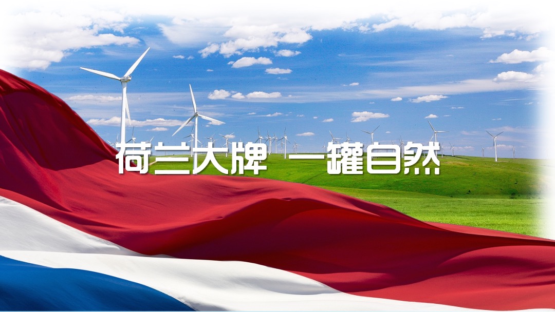 诺优能 X WDG SE05安徽路演大篷车活动方案