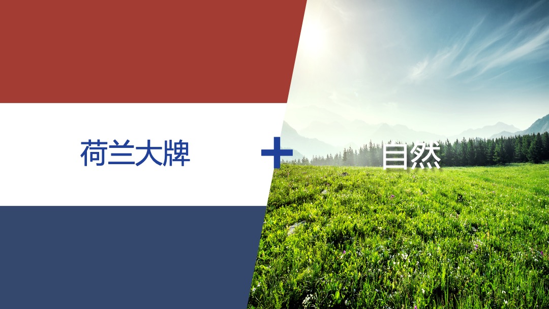 诺优能 X WDG SE05安徽路演大篷车活动方案