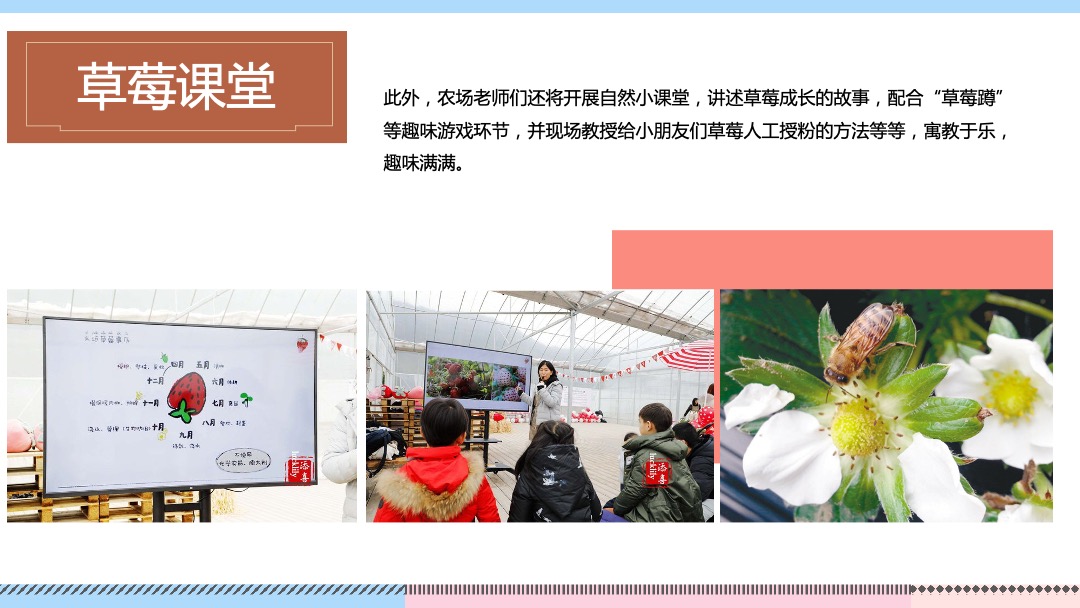 地产项目（向往的生活主题）春季农场采摘体验季活动策划方案