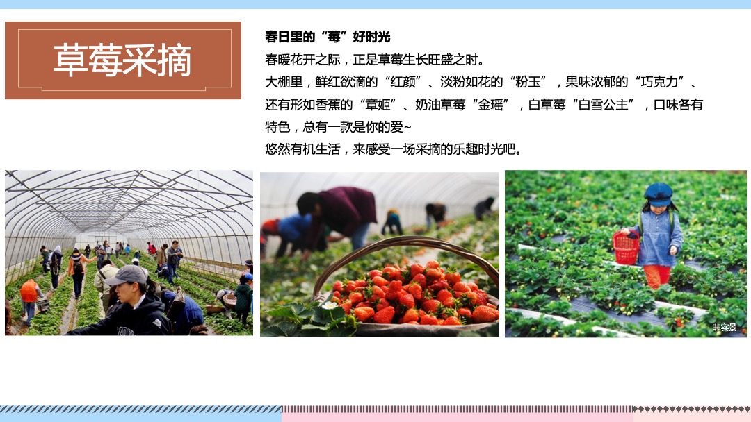 地产项目（向往的生活主题）春季农场采摘体验季活动策划方案