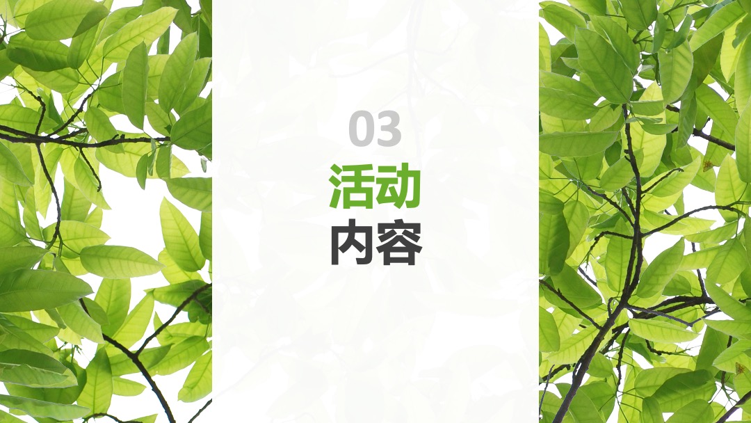 伊利金典端午节路演＆MINI秀思路案