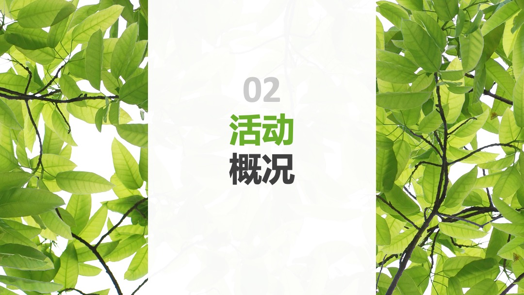 伊利金典端午节路演＆MINI秀思路案