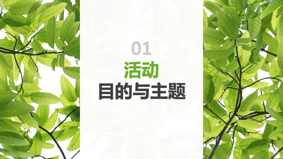 伊利金典端午节路演＆MINI秀思路案