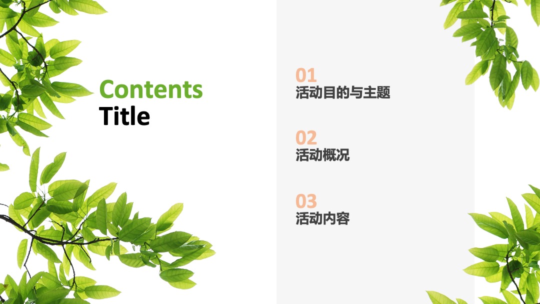 伊利金典端午节路演＆MINI秀思路案