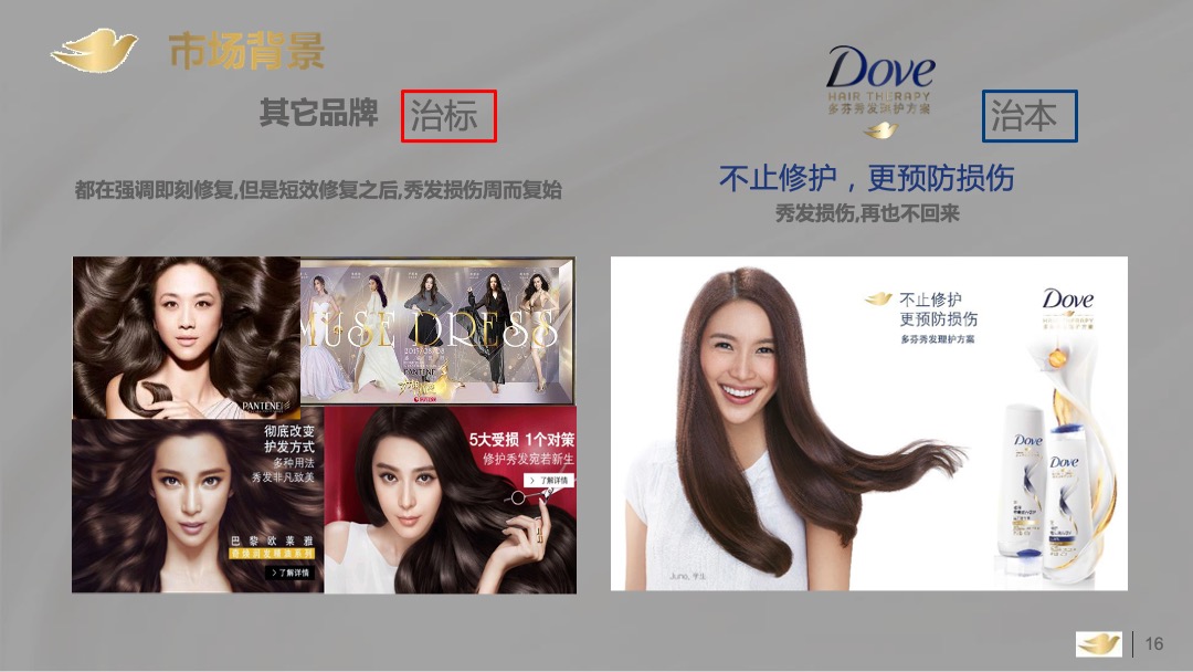 多芬春季路演活动执行手册