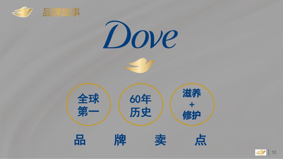 多芬春季路演活动执行手册