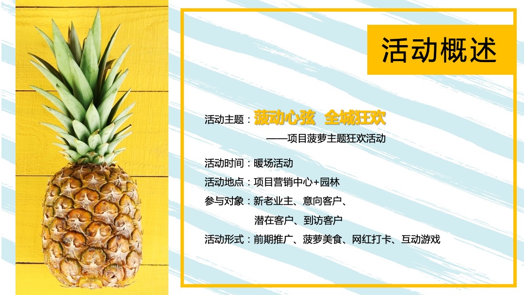 地产项目（菠动心弦 全城狂欢主题）夏日狂欢活动策划方案