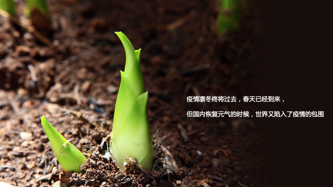 地产项目五一系列（畅游列国 纵想时光主题）活动策划方案