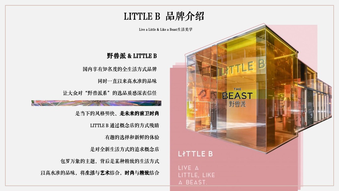 地产项目生活美学鉴赏暨样板间开放（境启·多彩美学生活）活动策划方案