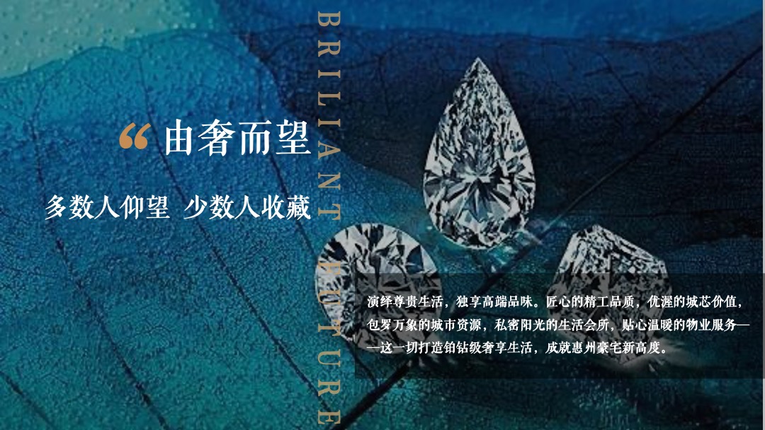 地产项目人居论坛暨媒体见面会（领钻时光 向美而生主题）活动策划方案