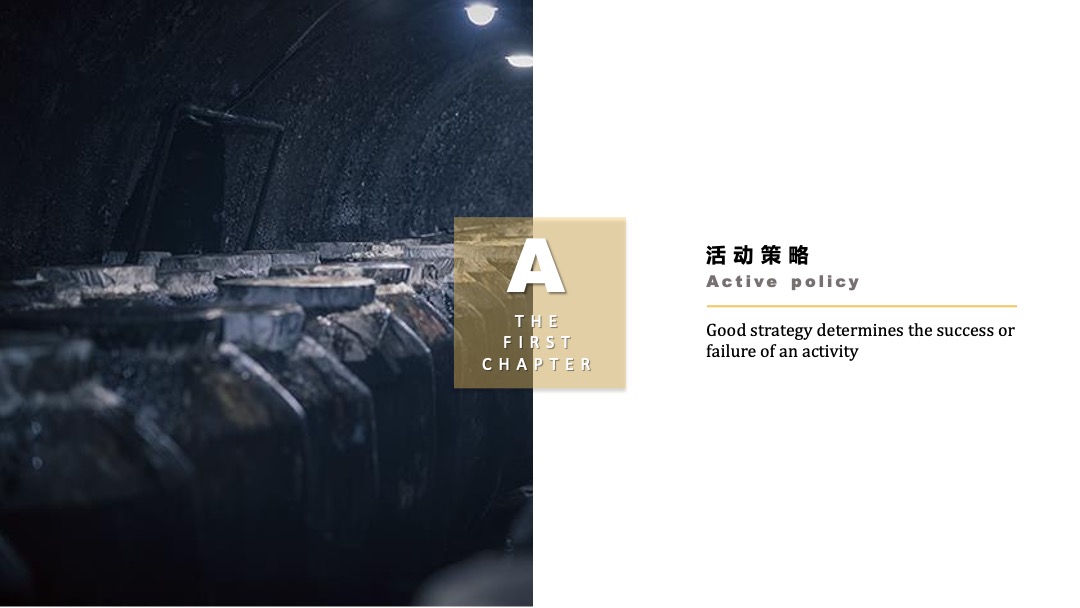 泸州老窖养生茗酿推介暨时尚盛典音乐会活动策划方案