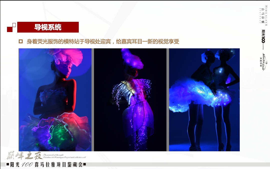 阳光100喜马拉雅项目鉴藏会巅峰之夜策划案