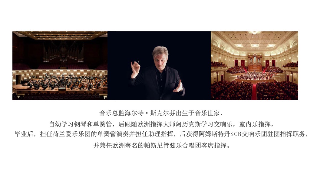 苏南旭辉VIP客户尊享之夜暨荷兰爱乐乐团中国巡演苏南旭辉体育馆站活动