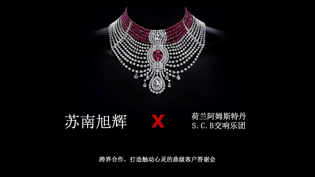 苏南旭辉VIP客户尊享之夜暨荷兰爱乐乐团中国巡演苏南旭辉体育馆站活动