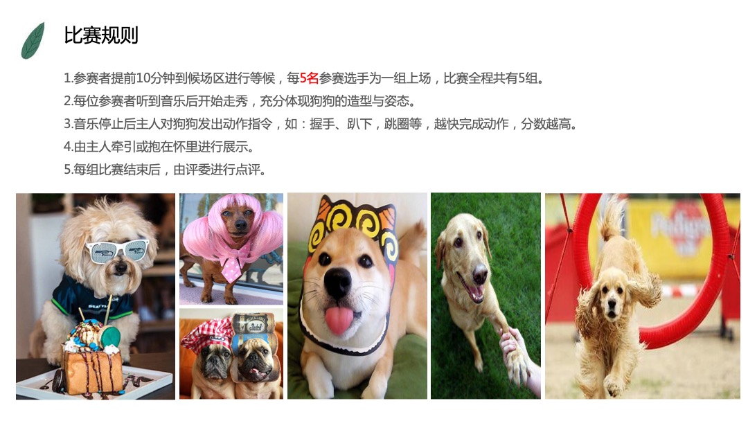 购物中心超级萌宠秀活动方案