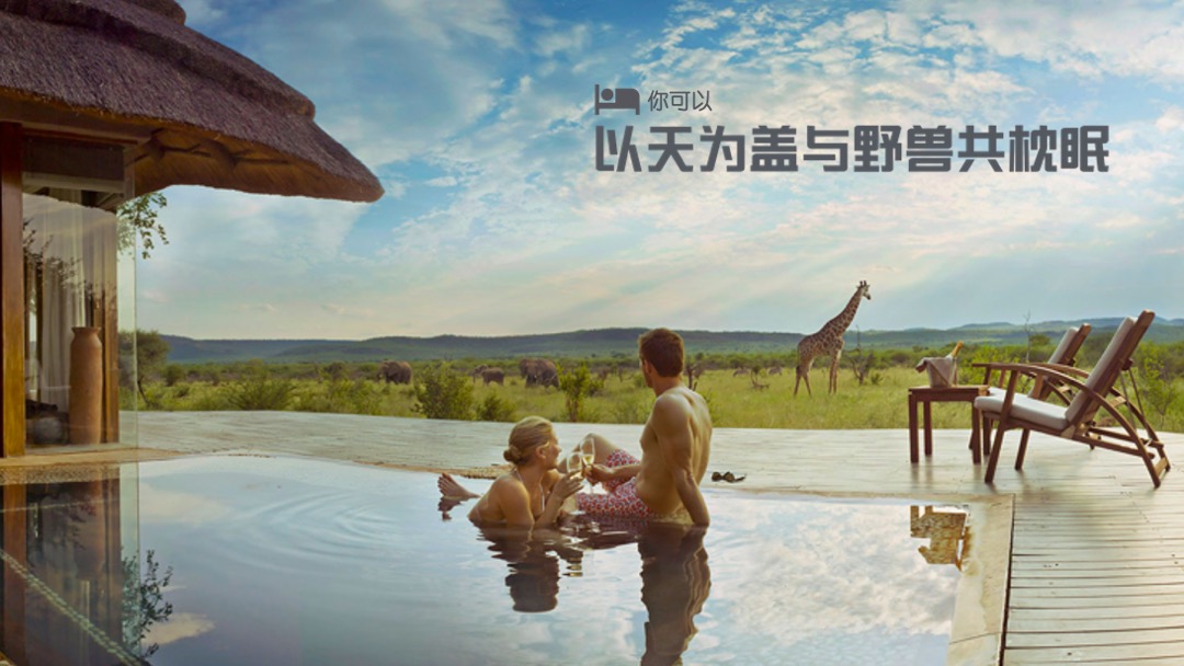 狂野星球-蚂蜂窝招商案