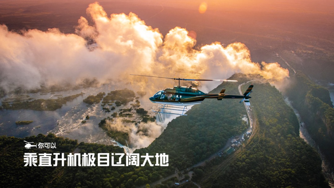 狂野星球-蚂蜂窝招商案