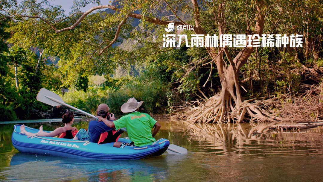 狂野星球-蚂蜂窝招商案