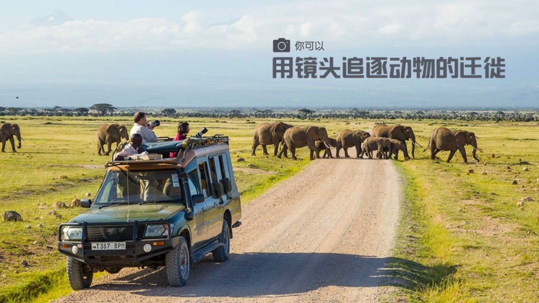 狂野星球-蚂蜂窝招商案