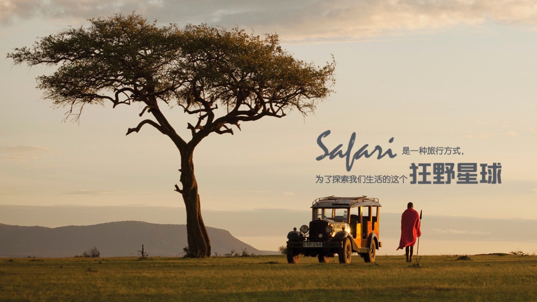 狂野星球-蚂蜂窝招商案