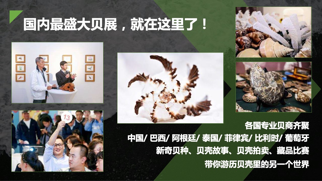 【果壳】有意思博物馆招商方案