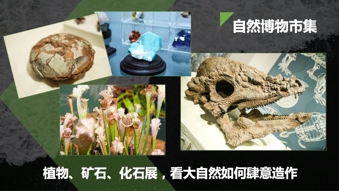 【果壳】有意思博物馆招商方案