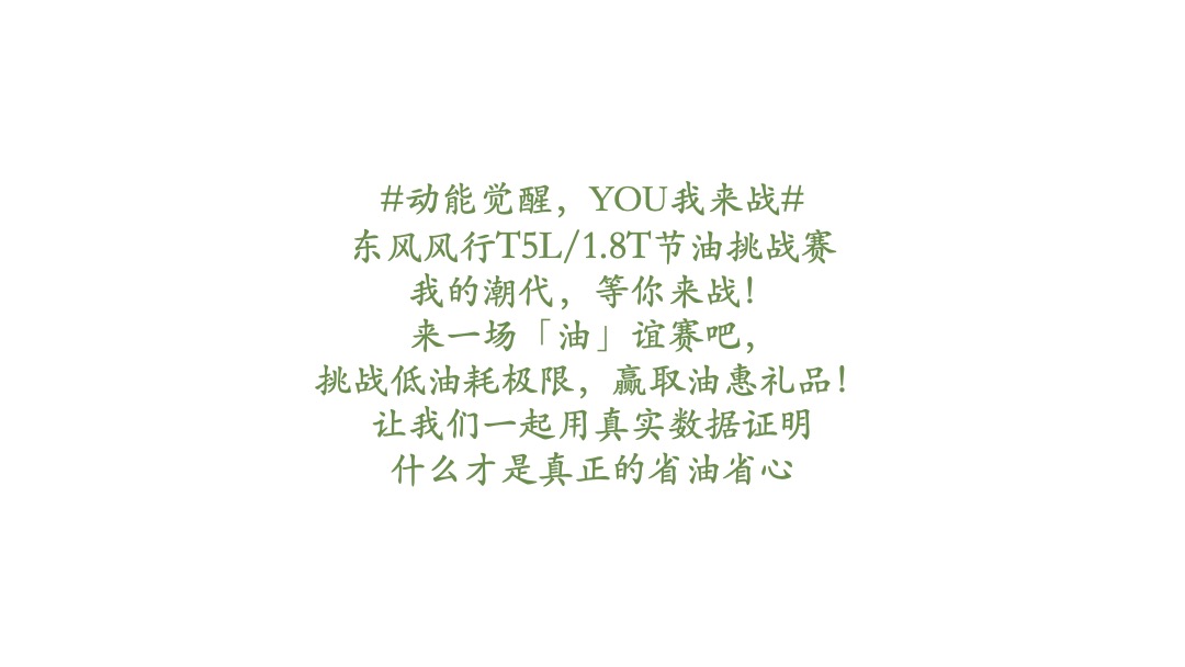 汽车品牌节油挑战赛（畅享自由主题）活动策划方案