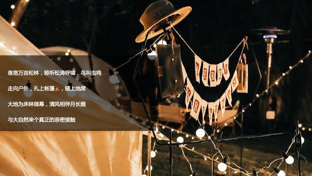 地产项目（晚风·星空帐篷节主题）夏日户外露营系列活动策划方案