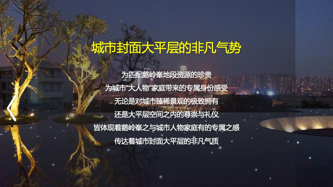 大平层集中交付活动策划方案