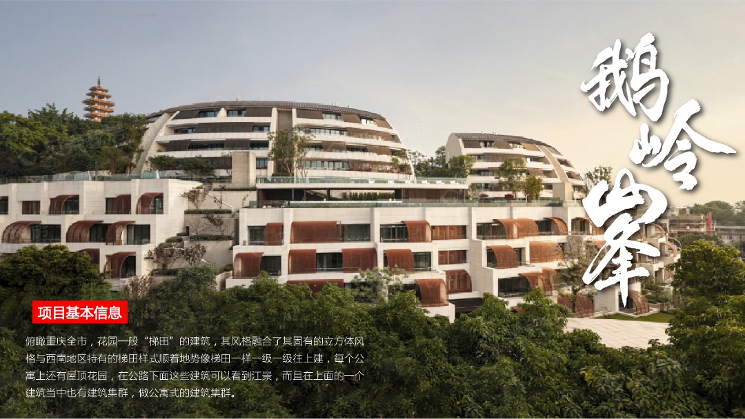 大平层集中交付活动策划方案