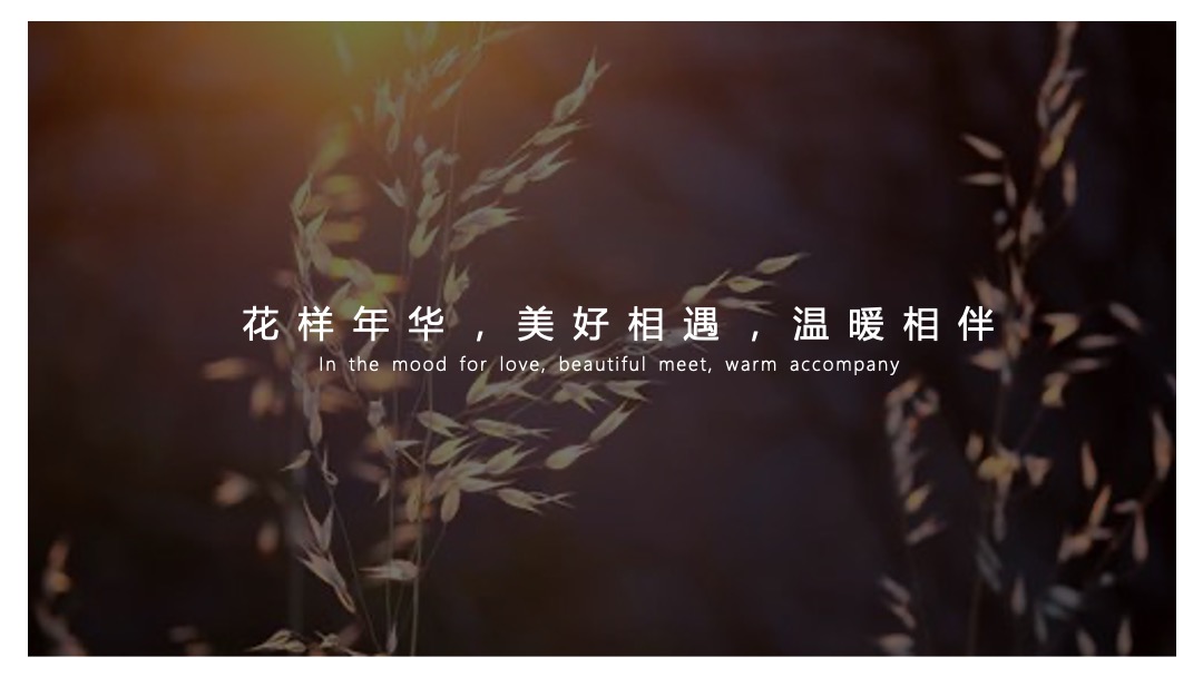 地产项目武汉区域品牌发布会（总有温暖相伴主题）活动策划方案