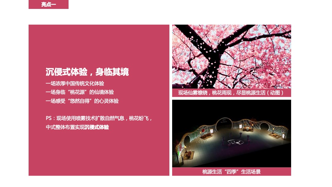 蓝城·财信桃李春风小镇（归·源主题）中式品牌发布会活动策划方案