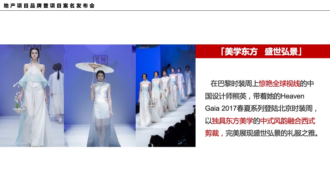 地产项目品牌暨案名发布会（匠心龙湖·精致生活主题）活动策划方案