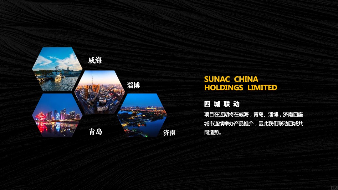 地产项目（四城联动·创领不凡主题）推介会活动策划方案