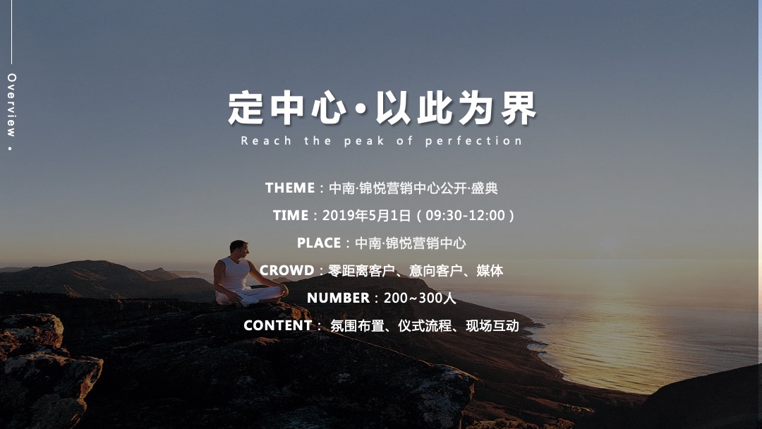 地产项目营销中心开放（定中心·以此为界主题）活动策划方案