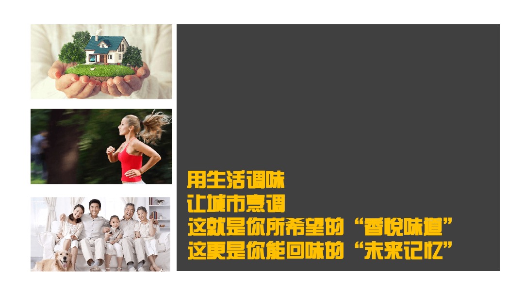 地产项目整体亮相活动思路方案