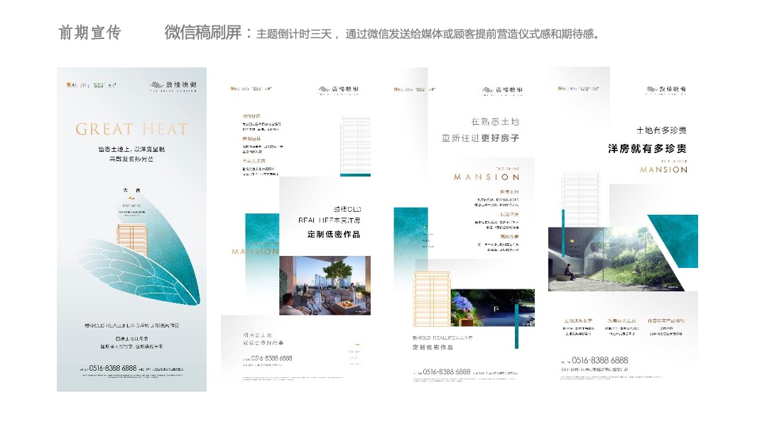 地产项目售楼部与示范区开放（领衔鼓楼生活 映显生活标杆主题）活动策划方案