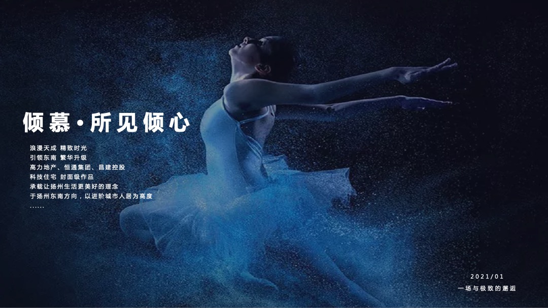 样板房开放（定格东南城芯 发现生活至美主题）活动策划方案