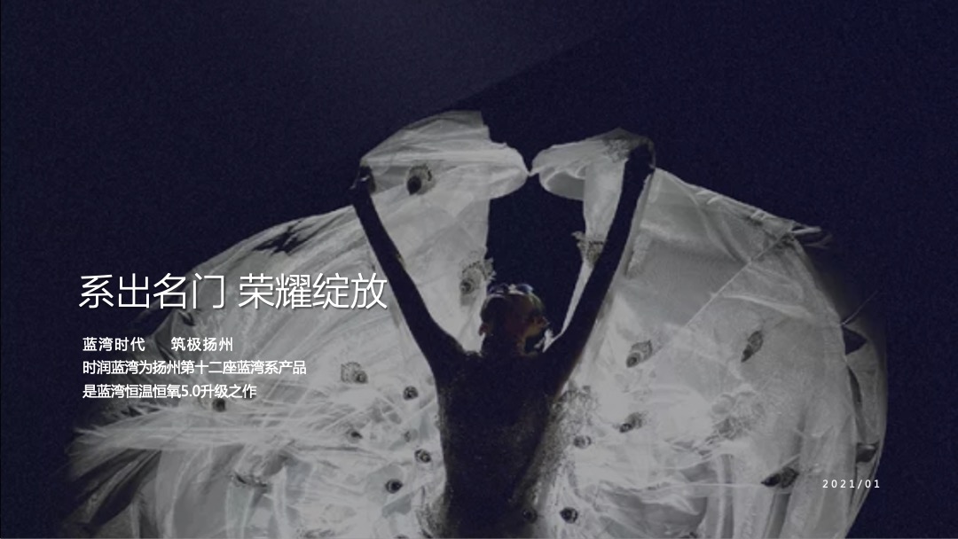 样板房开放（定格东南城芯 发现生活至美主题）活动策划方案