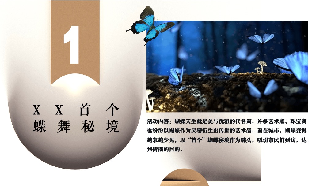 地产项目示范区开放（锦绣人生 主题）活动策划方案