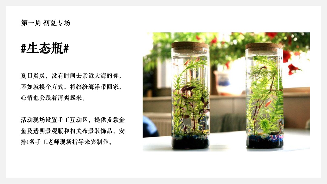 地产项目六月月度系列暖场（夏天的风·趣玩生活主题）活动策划方案