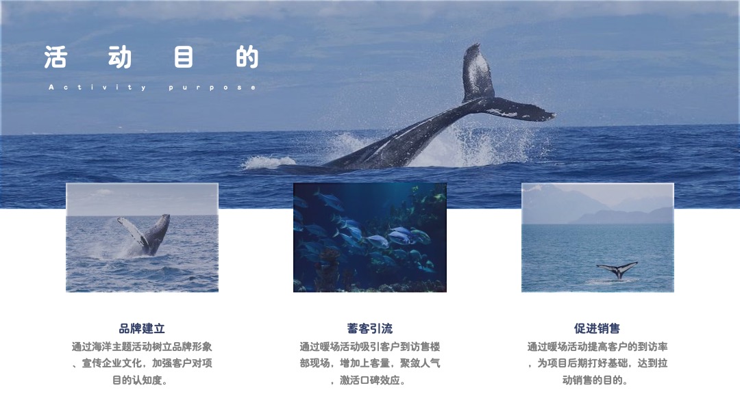 地产项目夏季7月月度（HIGH浪·奇趣海洋节主题）活动策划方案