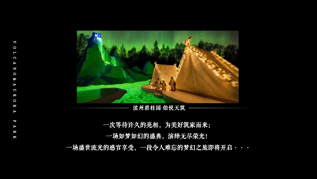 滨州碧桂园·铂悦天筑营销中心开放暨火山极境滨州首展活动方案