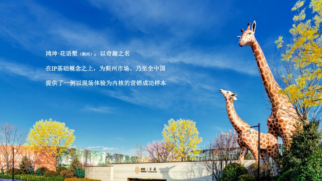 鸿坤·花语墅项目推广提报