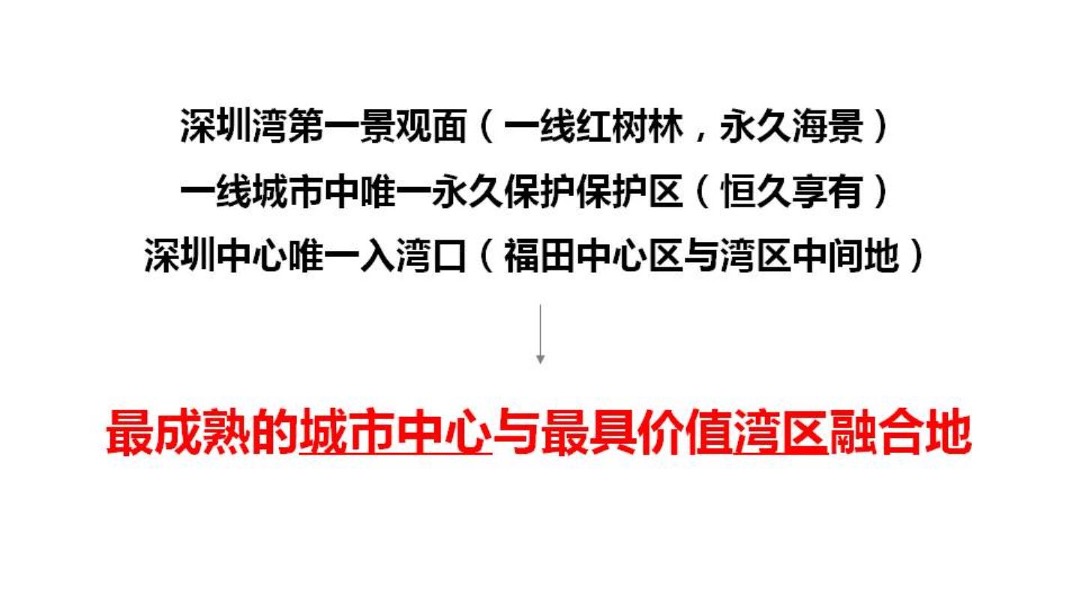 中洲城暨顶级豪宅洲玺整合推广案