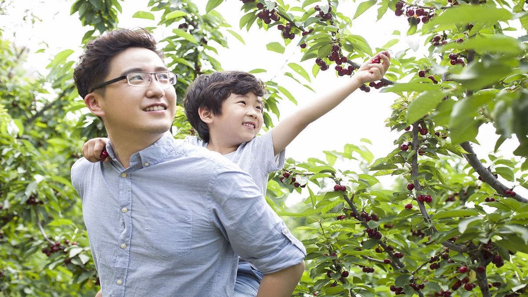 景瑞物业系列活动推荐活动方案