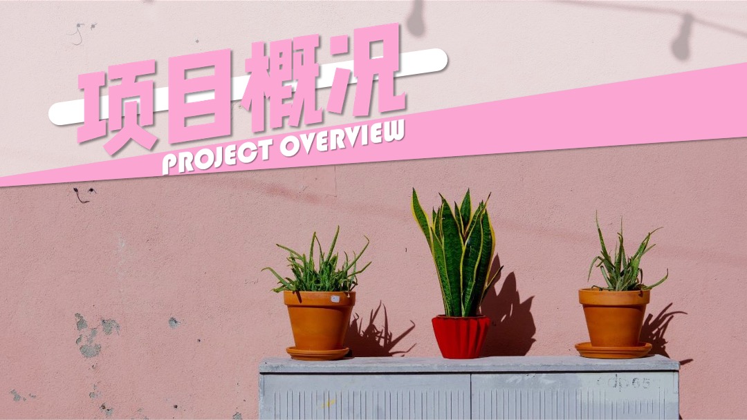 地产项目暑期夏日狂欢节（夏日粉色风暴主题）活动策划方案