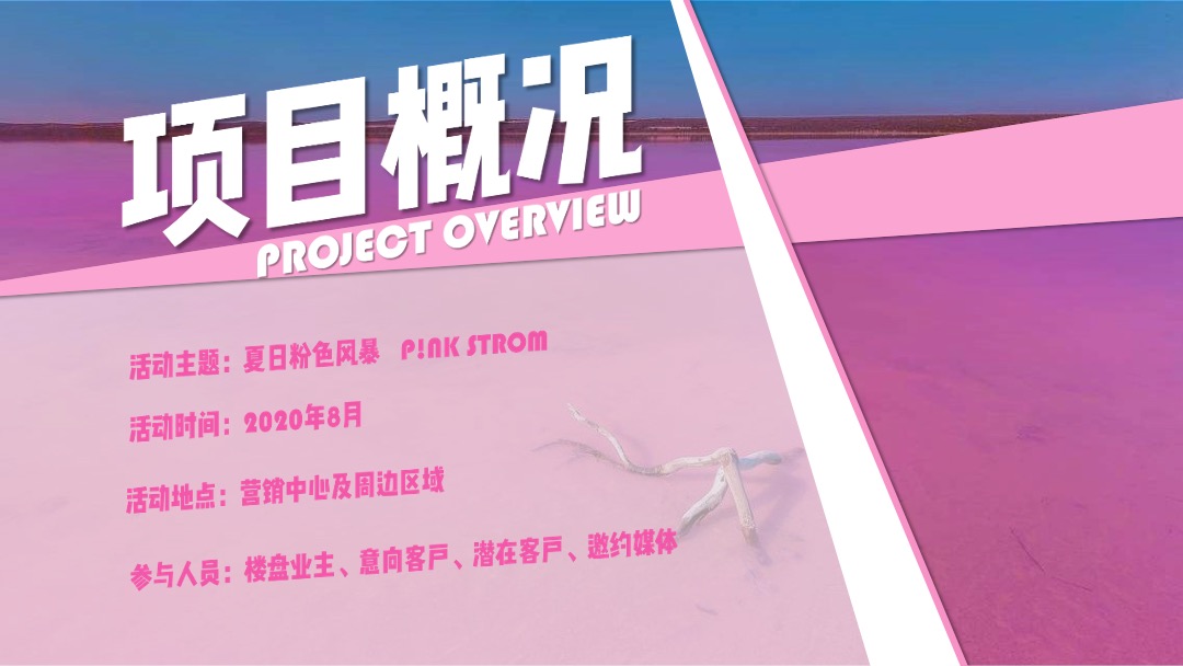 地产项目暑期夏日狂欢节（夏日粉色风暴主题）活动策划方案
